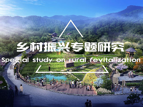 鄉(xiāng)村振興專題研究